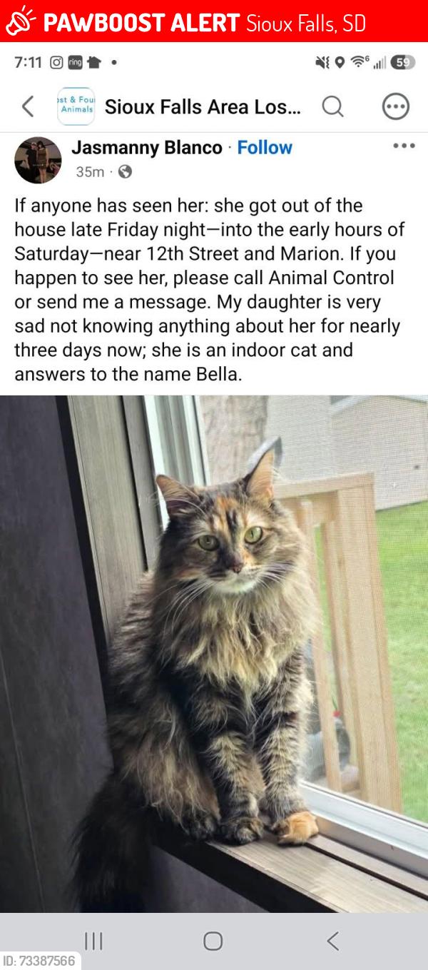 Lost Female Cat last seen Marion comunity 57106, Sioux Falls, SD 57106
