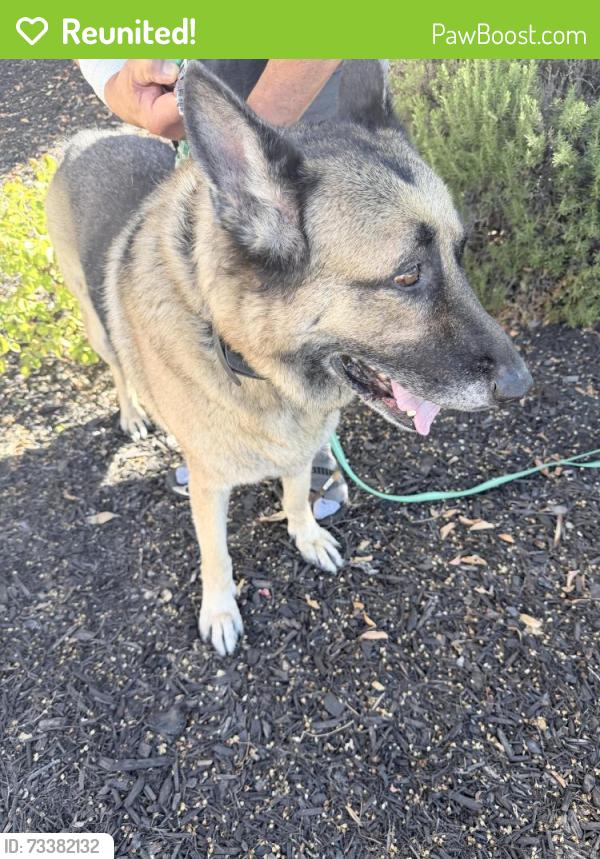 Reunited Male Dog last seen Olympia rose dr, Murrieta, CA 92563
