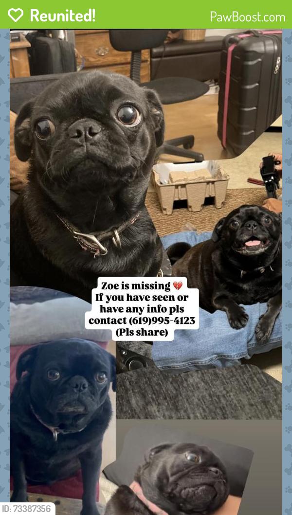Reunited Female Dog last seen Parkland Way, Bullock Drive (Paradise Hills), San Diego, CA 92114