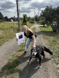 Reunited Male Dog last seen Near SE Knapp ST, Gresham, OR 97080