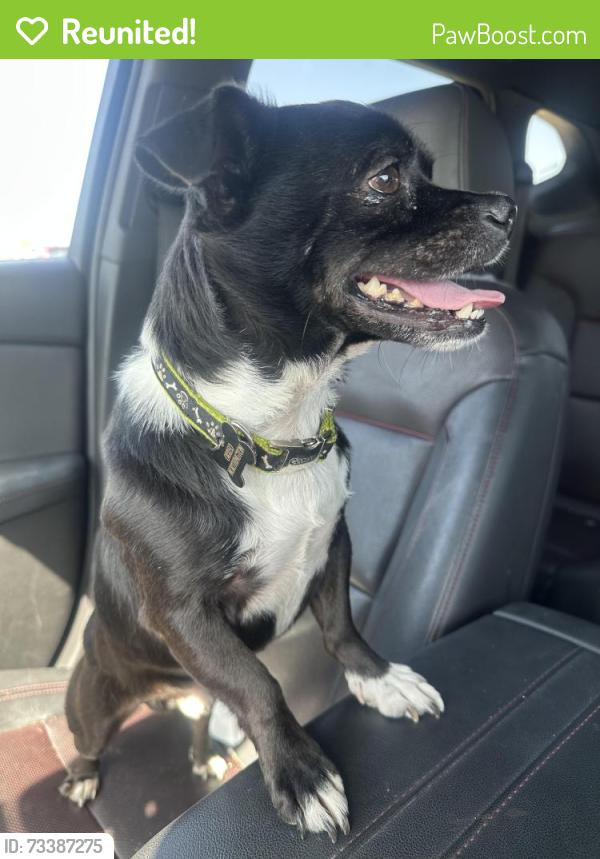 Reunited Unknown Dog last seen Trails of fossil creek, Fort Worth, TX 76102