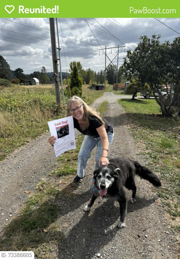Reunited Male Dog last seen Near SE Knapp ST, Gresham, OR 97080