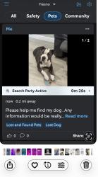 Lost Female Dog last seen Barton and ashlen, Fresno, CA 93726