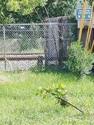 Found/Stray Unknown Dog last seen Right next to the train tracks on the next parking lot. It's behind a metal gate and in front of the train tracks., Opa-locka, FL 33054