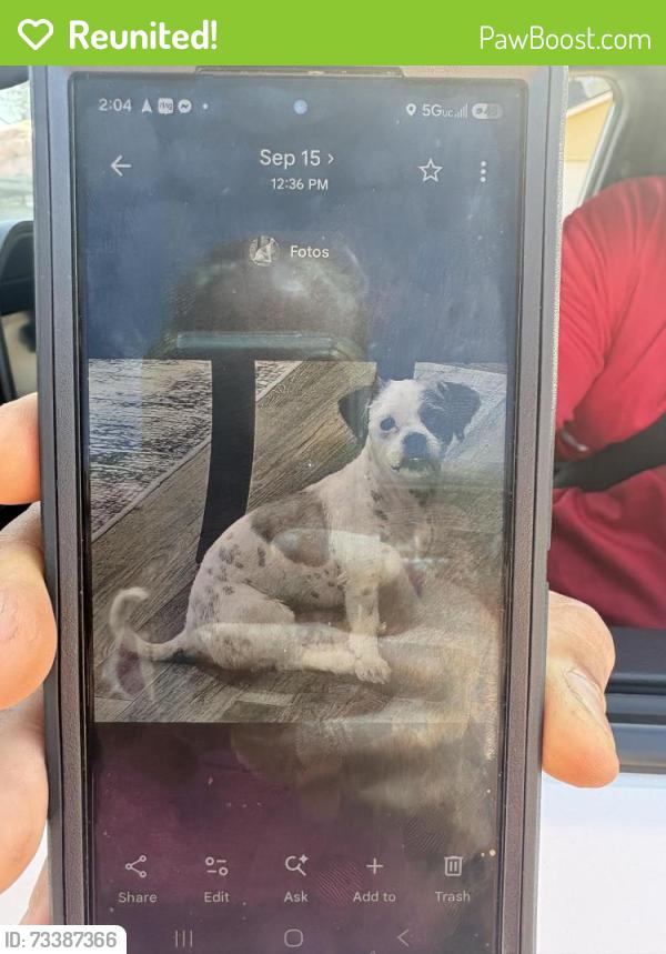 Reunited Male Dog last seen Grace St and San Bernardino, Fontana, CA 92376