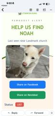 Lost Male Dog last seen 30th street, Haines City, FL 33844