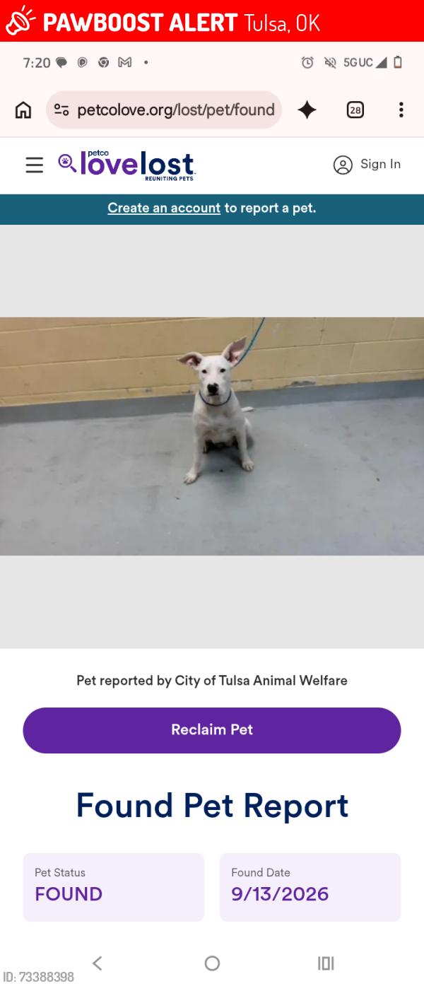 Lost Female Dog last seen Waterworks, Tulsa, OK 74127