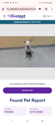 Lost Female Dog last seen Waterworks, Tulsa, OK 74127