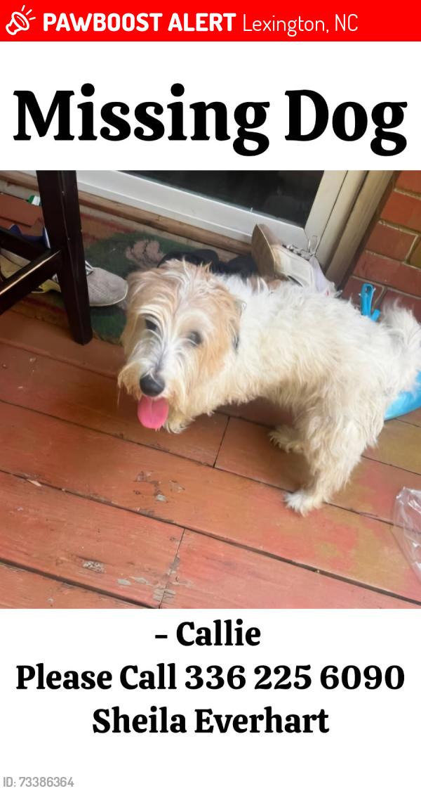 Lost Female Dog last seen New Jersey church rd and nc hwy 47, Lexington, NC 27292