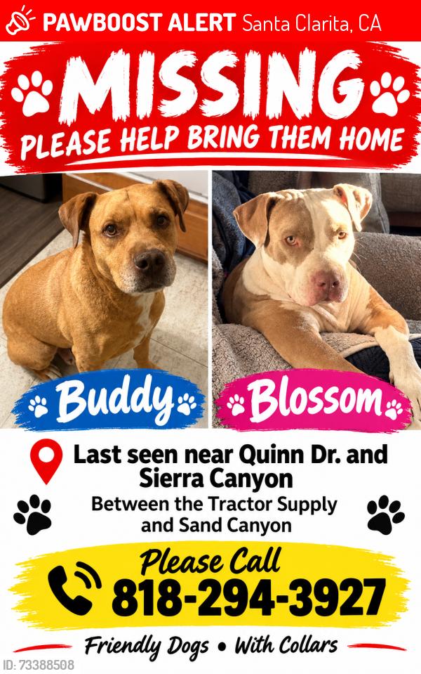 Lost Unknown Dog last seen Sierra hwy and Quinn drive, Santa Clarita, CA 91387