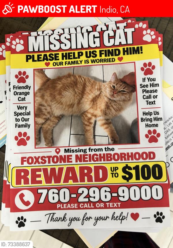 Lost Male Cat last seen Rosedale st, Indio, CA 92201