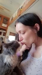Reunited Male Cat last seen Plumb Tree rd, Colfax, CA 95713