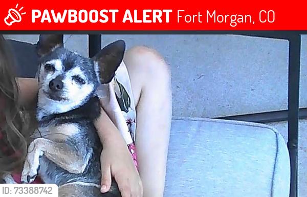 Lost Female Dog last seen Fort Morgan co, Fort Morgan, CO 80701