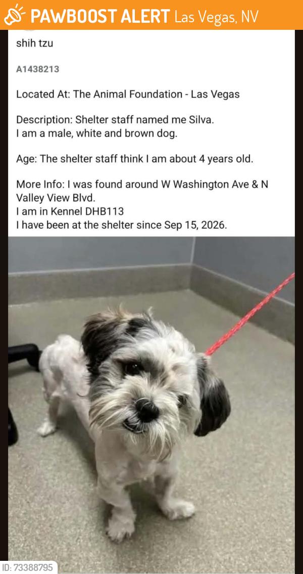 Found/Stray Female Dog last seen Woodbridge dr, Las Vegas, NV 89108