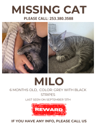 Lost Male Cat last seen Eureka rd and carriage dr, Granite Bay, CA 95746
