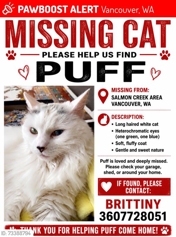 Lost Female Cat last seen 129th and 134th area in salmon creek, Vancouver, WA 98685