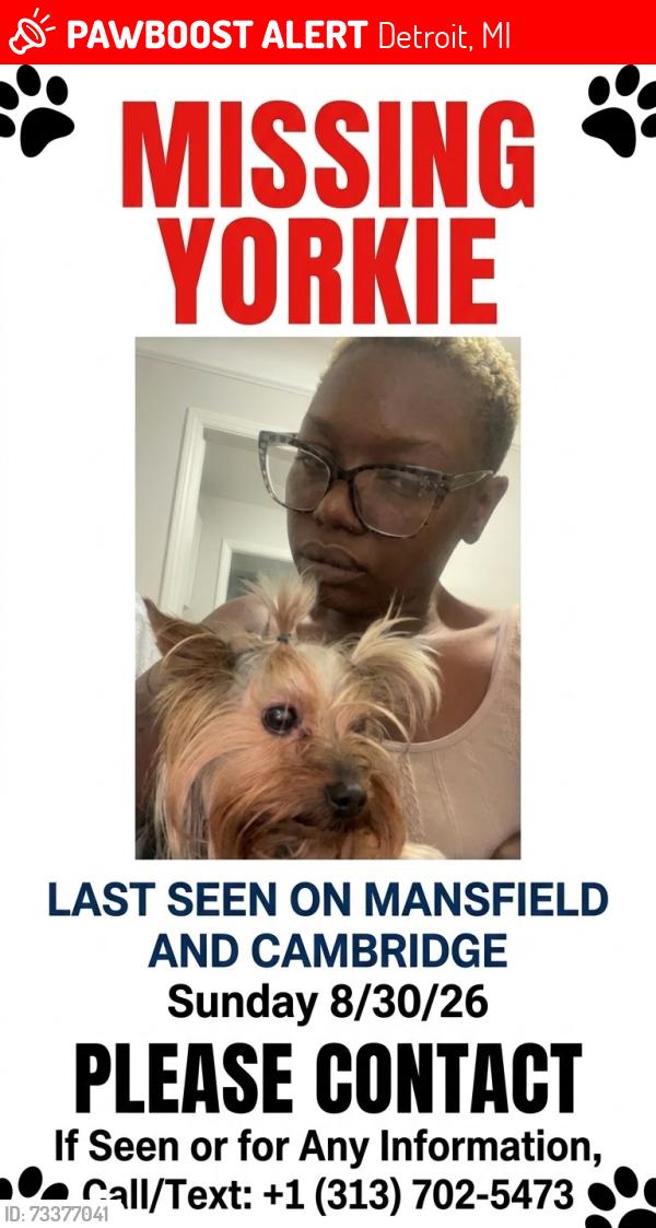 Lost Male Dog last seen Vassar and Rutherford, Detroit, MI 48235