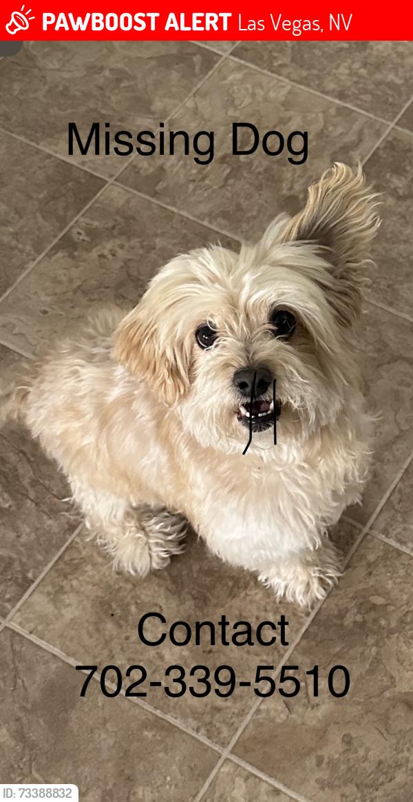 Lost Male Dog last seen Torrey pines and smoke ranch, Las Vegas, NV 89108
