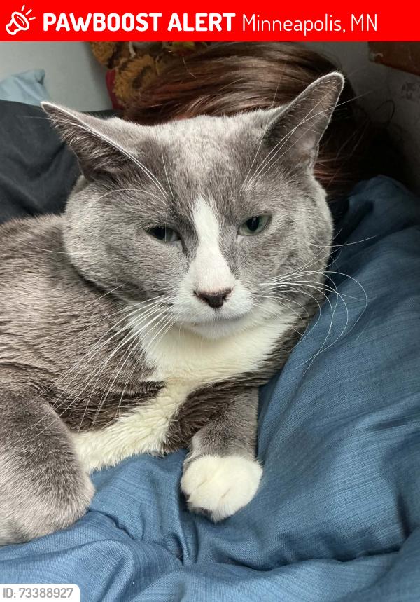 Lost Male Cat last seen Near Abbott Ave N Robbinsdale, MN 55422 United States, Minneapolis, MN 55422