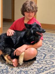 Lost Female Dog last seen Hudson Rd, Hwy 301, Orangeburg County, SC 29038