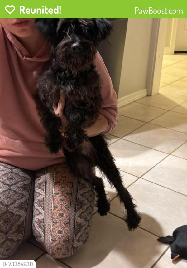 Reunited Male Dog last seen Se 136th ave & se Rhone st., Portland, OR 97236