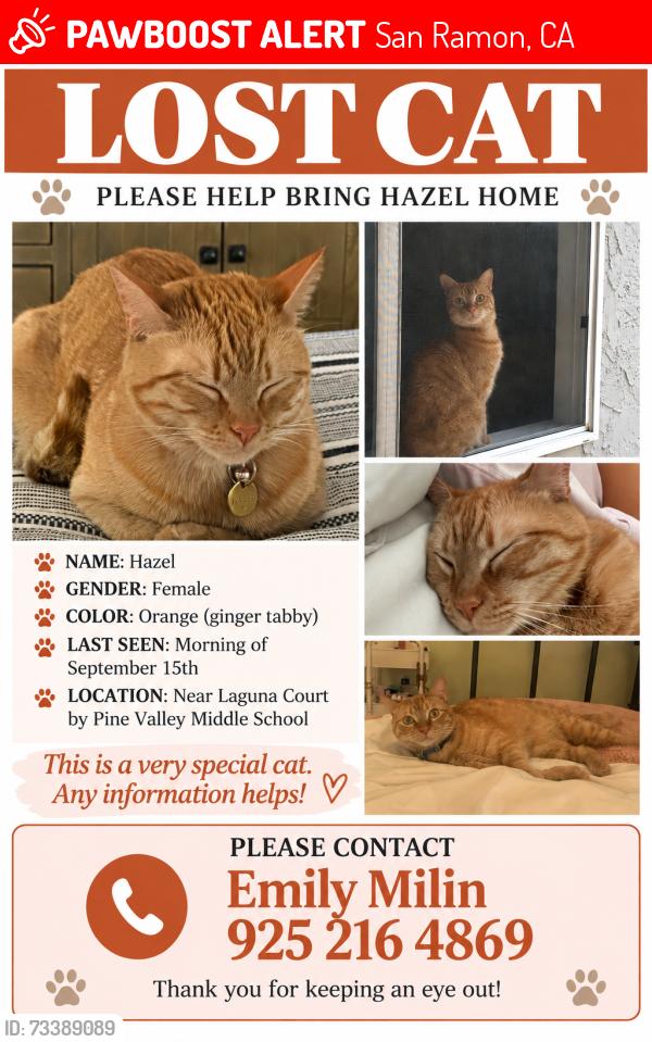 Lost Female Cat last seen Pine Valley Middle School, San Ramon, CA 94583