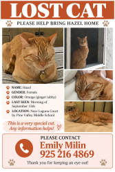 Lost Female Cat last seen Pine Valley Middle School, San Ramon, CA 94583