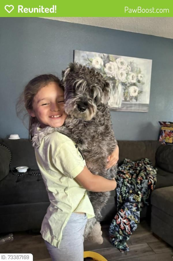 Reunited Male Dog last seen 3rd and chicago, Riverside, CA 92507