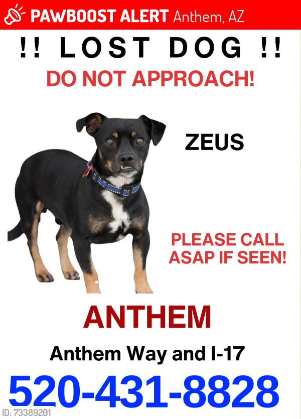 Lost Male Dog last seen I 17 and anthem Way, Anthem, AZ 85086