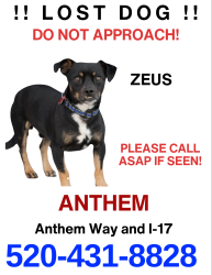 Lost Male Dog last seen I 17 and anthem Way, Anthem, AZ 85086