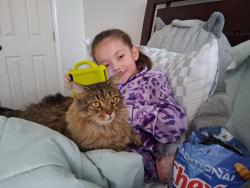 Lost Female Cat last seen Georgetown, Savannah, GA 31419