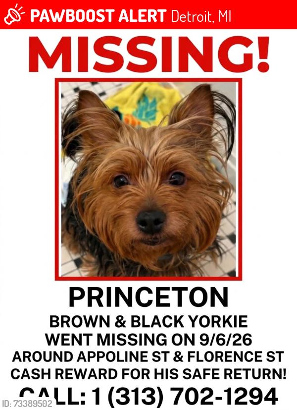 Lost Male Dog last seen Purtain, Detroit, MI 48235