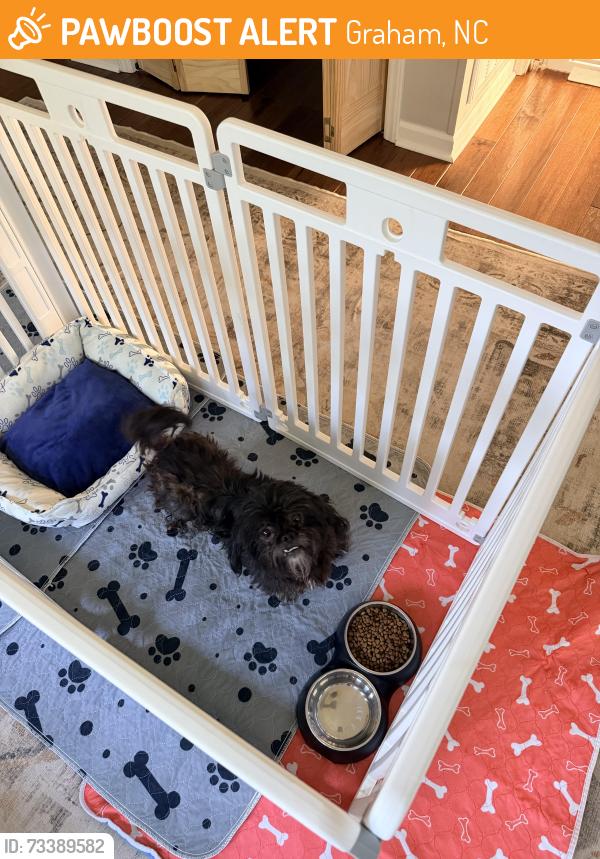 Found/Stray Male Dog last seen Moore Road, Graham, NC 27253