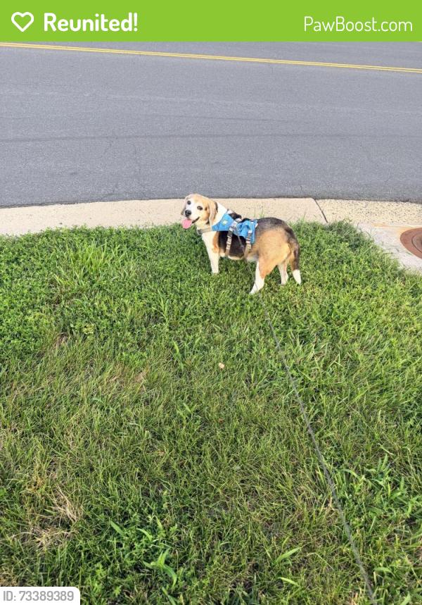 Reunited Male Dog last seen Near Evergreen Ridge Dr Ashburn, VA 20148, Ashburn, VA 20148