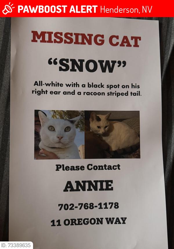 Lost Male Cat last seen Victory and water at, Henderson, NV 89015