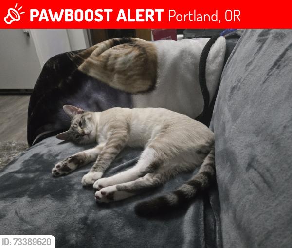 Lost Male Cat last seen Between 149th Ave, and 150th Ave on Fremont St, Portland, OR 97230