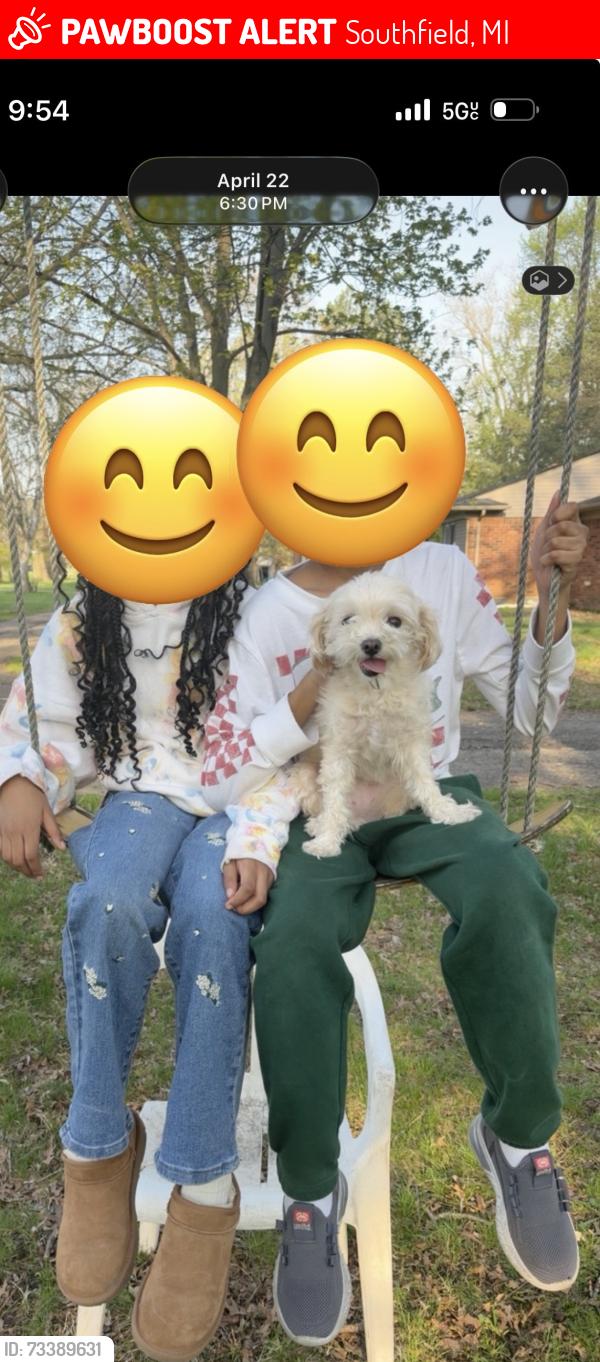 Lost Female Dog last seen 10 Mile and Lahser, Southfield, MI 48033