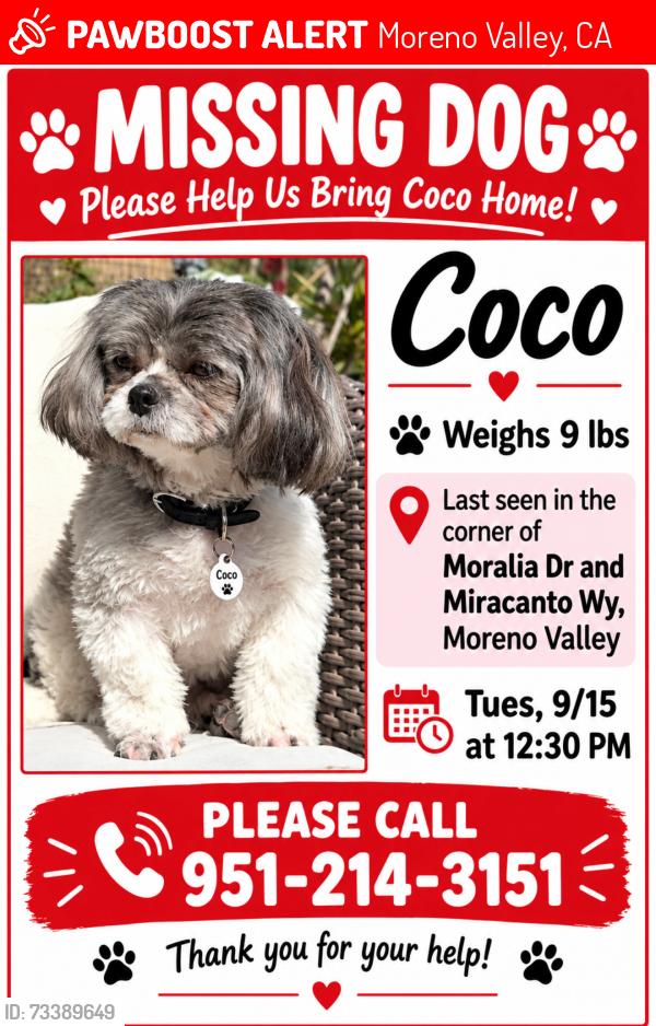 Lost Female Dog last seen Moravia Drive and Mitacanto Wy, Moreno Valley, CA 92557