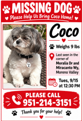 Lost Female Dog last seen Moravia Drive and Mitacanto Wy, Moreno Valley, CA 92557