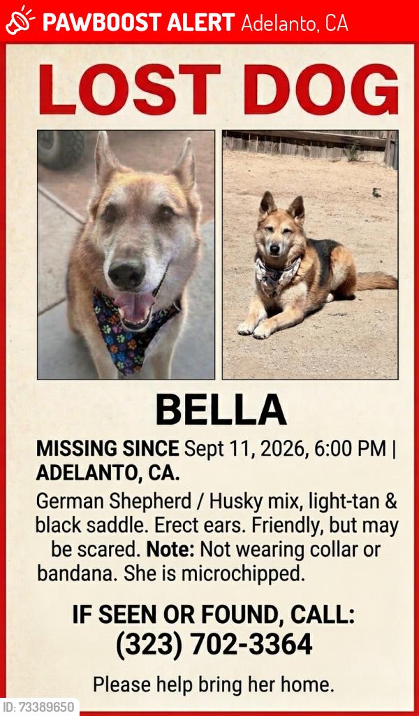 Lost Female Dog last seen By daisy park, Adelanto, CA 92301