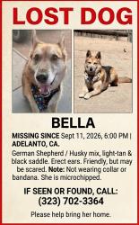 Lost Female Dog last seen By daisy park, Adelanto, CA 92301