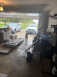 Found/Stray Male Dog last seen Debolt Rd & 161, Plain City, OH 43064