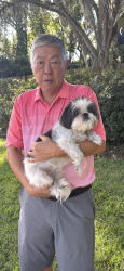 Found/Stray Male Dog last seen kent and sulgrave, Savannah, GA 31406