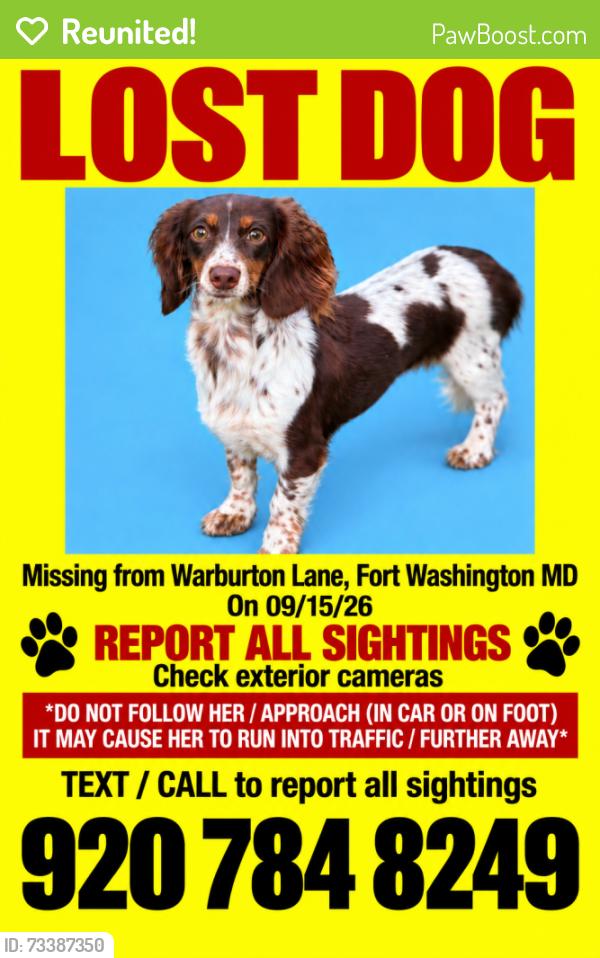 Reunited Female Dog last seen Old Fort Road, Fort Washington, MD 20744