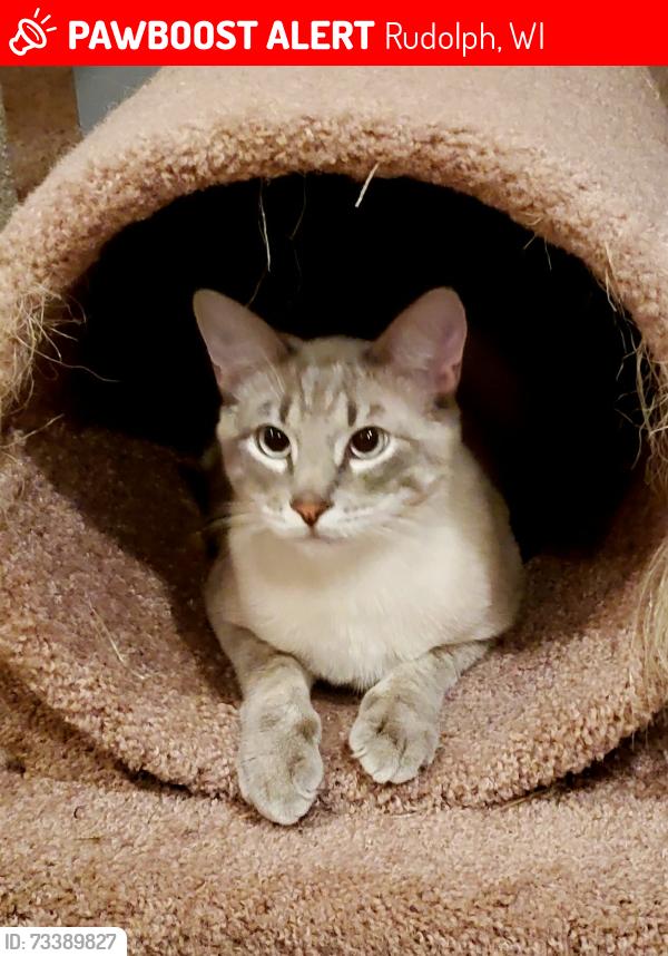 Lost Male Cat last seen Stoney Brook Rd - Wisconsin River - Hwy 66, Rudolph, WI 54475