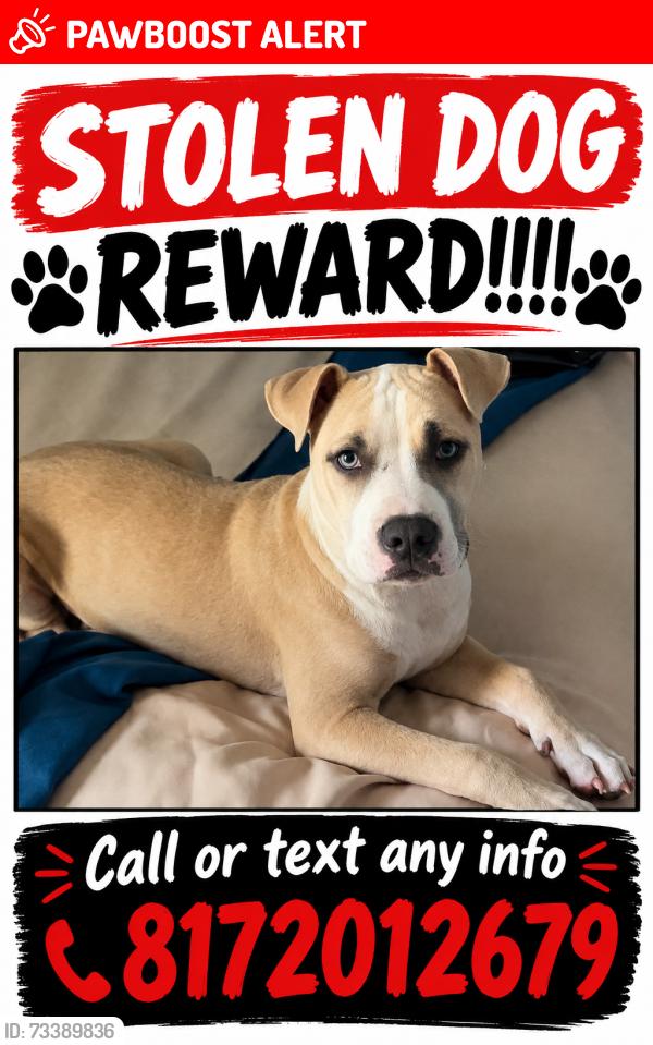 Lost Male Dog last seen Whitesettlement Rd and Judd St, White Settlement, TX 76108