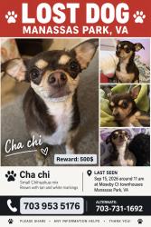 Lost Female Dog last seen Moseby ct townhouses, Manassas Park, VA 20111