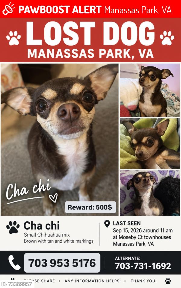 Lost Female Dog last seen Moseby ct townhouses, Manassas Park, VA 20111