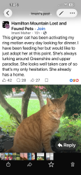 Found/Stray Unknown Cat last seen Greenshire and upper paradise, Hamilton, ON L9C 7G5