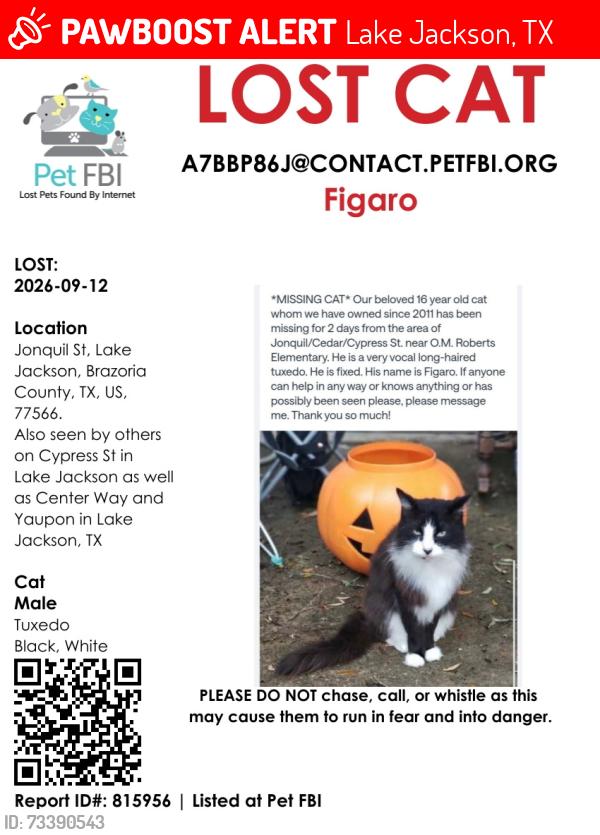 Lost Male Cat last seen Center way, yaupon street, Lake Jackson, TX 77566